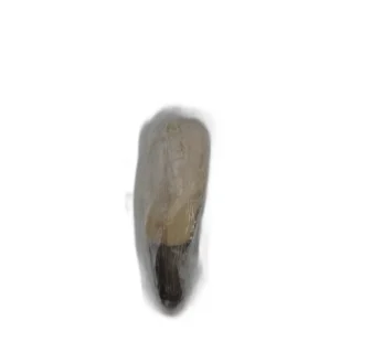 Coda rana pescatrice oceanica