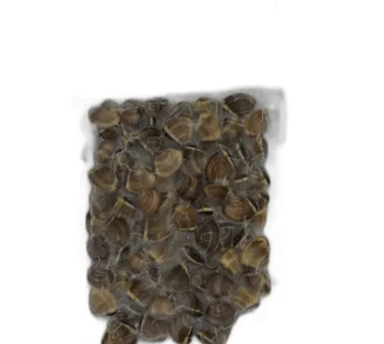 Vongole con guscio 1 kg