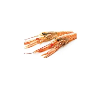 Scampi 21 30 750 g peso netto