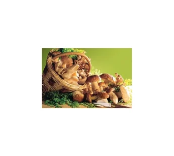 Misto funghi bosco asiago 1 kg