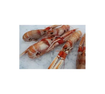 Scampi 13 16 700 g peso netto